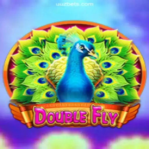 Discover DoubleFly: A Thrilling Arcade Experience with a Premium Twist